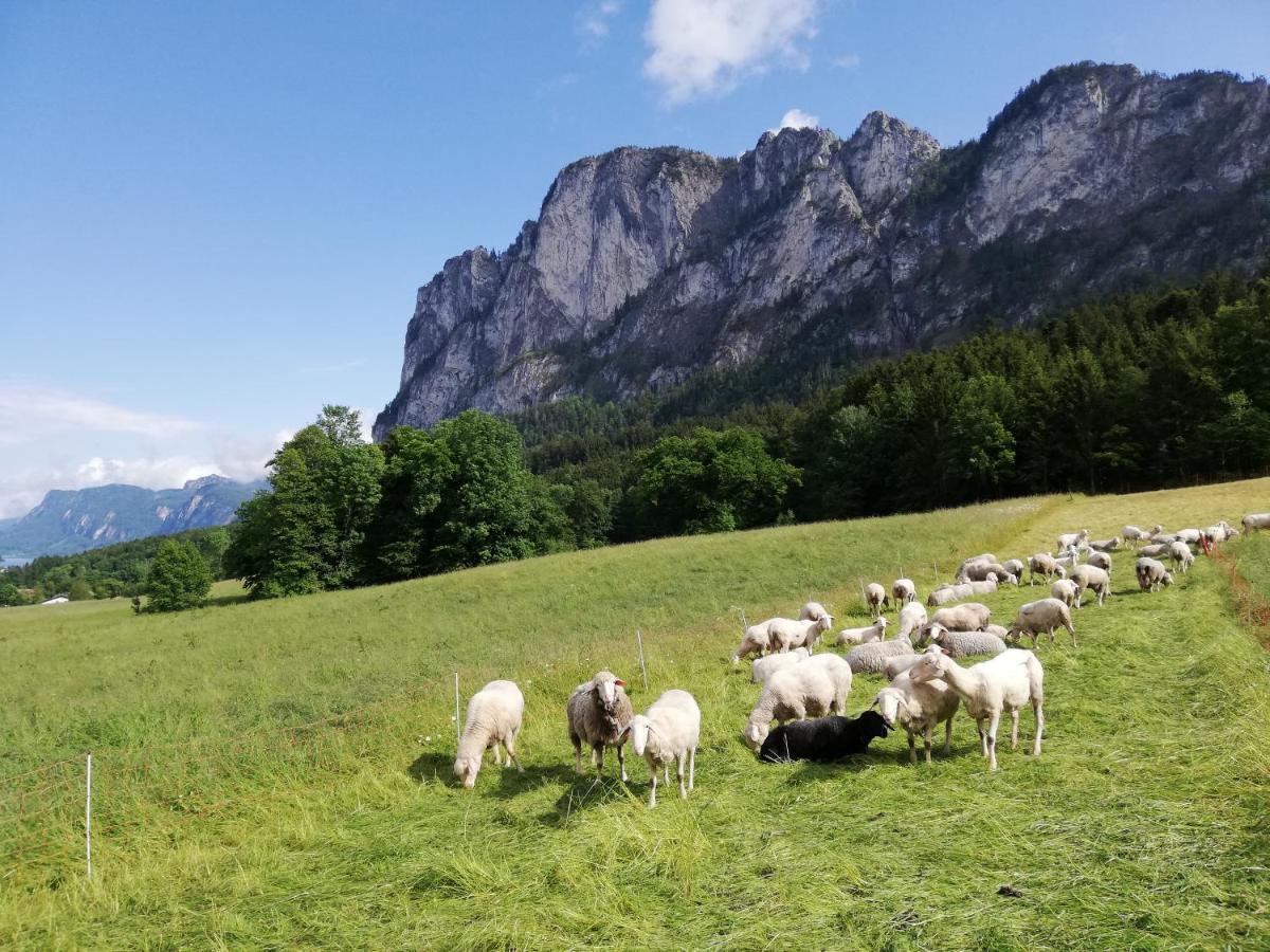 Am Mondseeblick Exterior foto